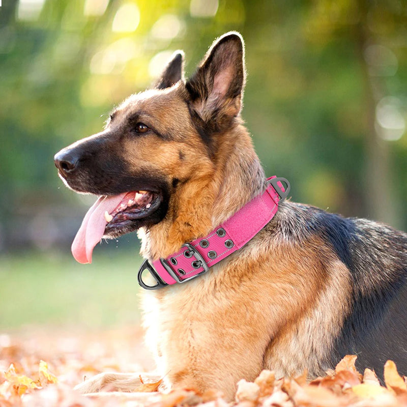 Taktisches Nylon-Hundehalsband mit Griff