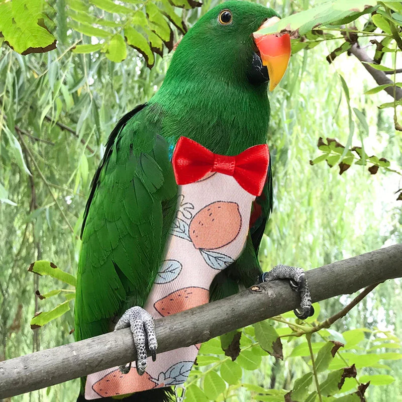 Combinaison de vol pour perroquet avec nœud papillon