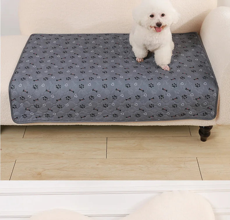 Un caniche blanco está sentado en una alfombra desechable para mascotas gris sobre un sofá de color claro.