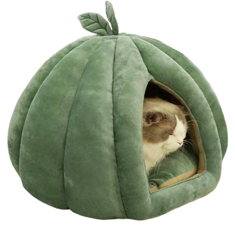 Lit pour chat en forme de citrouille d'Halloween