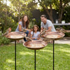 Rustic Iron Bird Feeder with Wide-Mouth Water Basin
