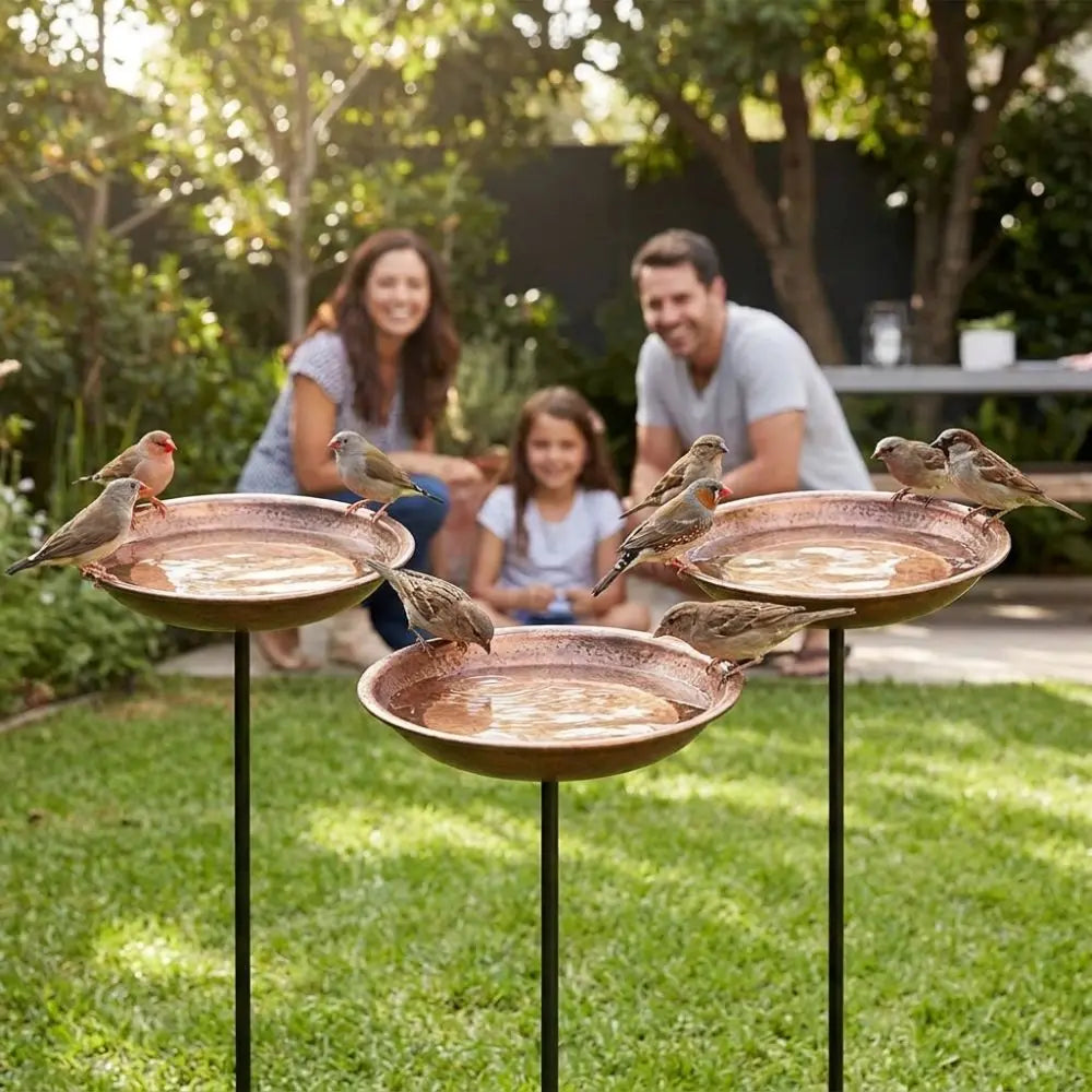 Rustic Iron Bird Feeder with Wide-Mouth Water Basin
