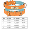 Personalisiertes Leder-Hundehalsband mit graviertem ID-Tag