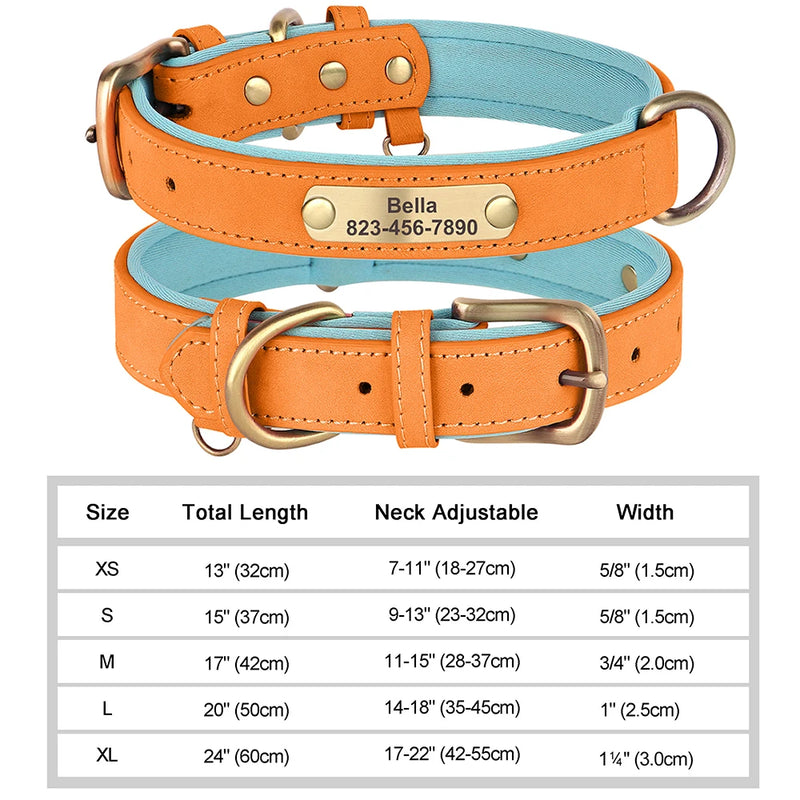 Personalisiertes Leder-Hundehalsband mit graviertem ID-Tag