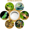 Cuenco de Cerámica Antifuga para Reptiles