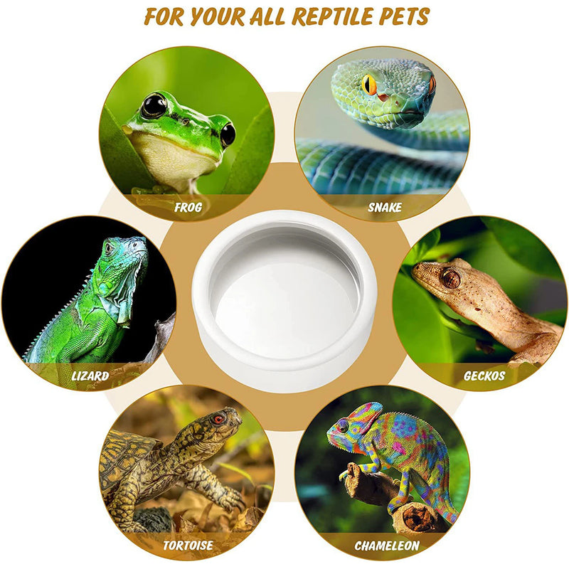 Cuenco de Cerámica Antifuga para Reptiles