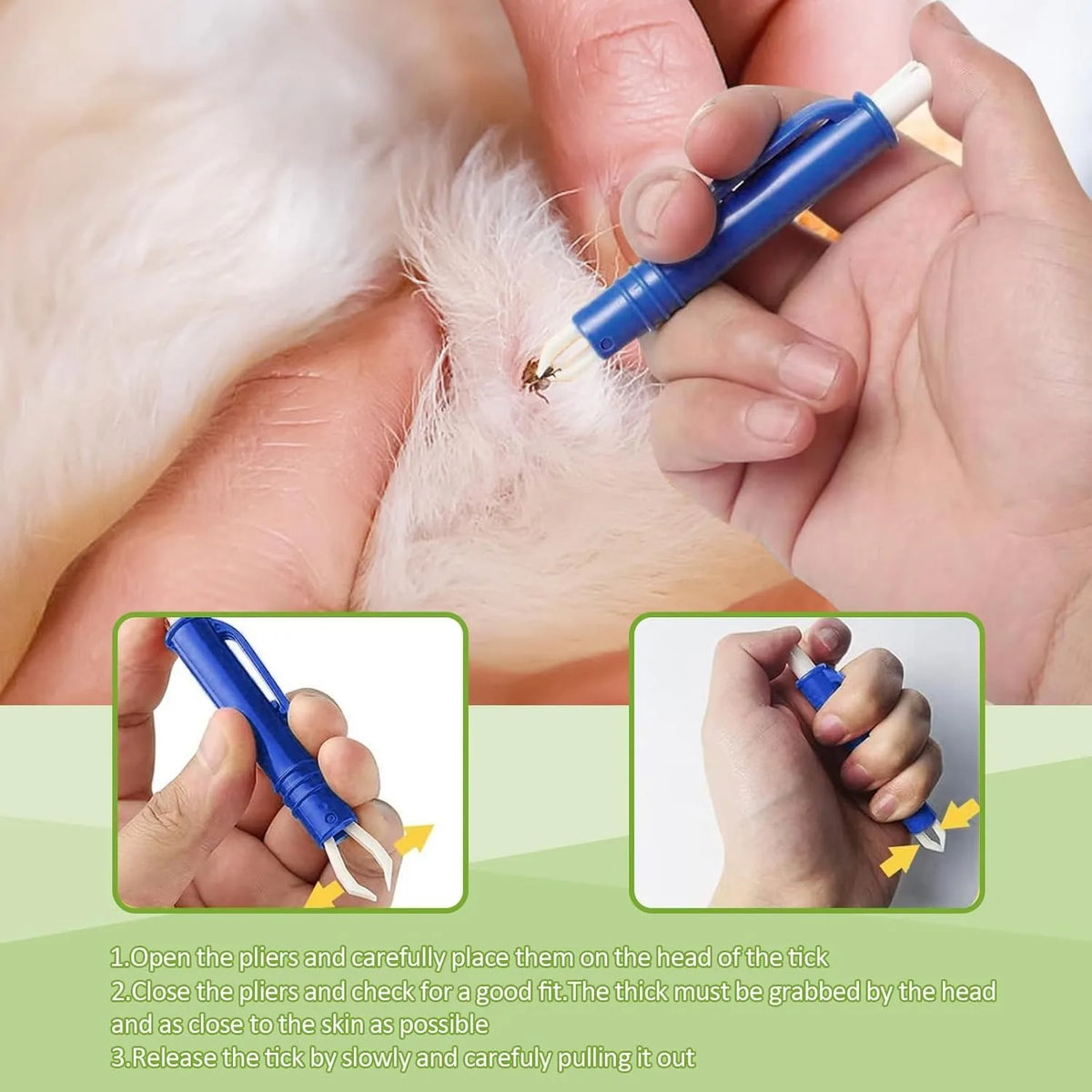 Hands are using a blue pet tick removal tool to extract a tick from a white pet.