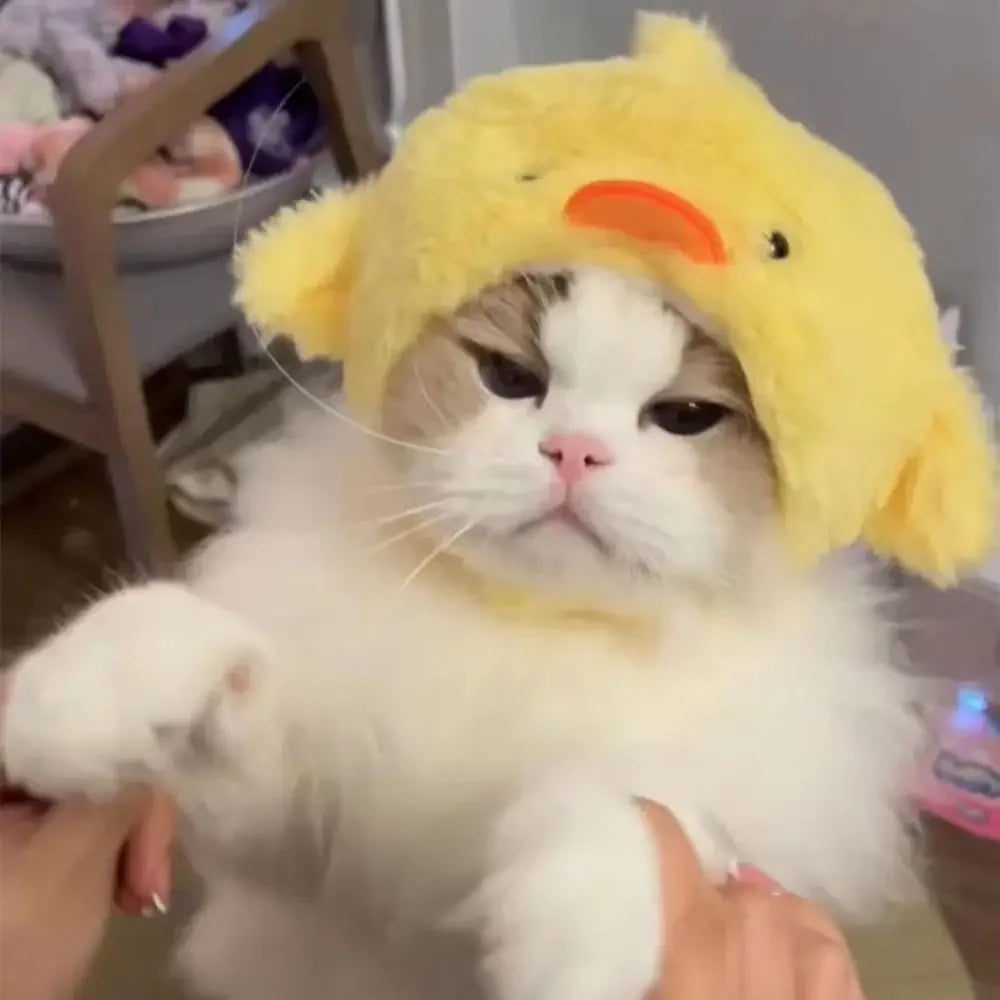 Adorable Knit Bear Hat for Cats and Dogs