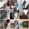 A collection of cats using a self-grooming massage comb with a corner mount for grooming.