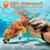 A woman is shown smiling while a dog wearing a waterproof bark collar swims in clear blue water.