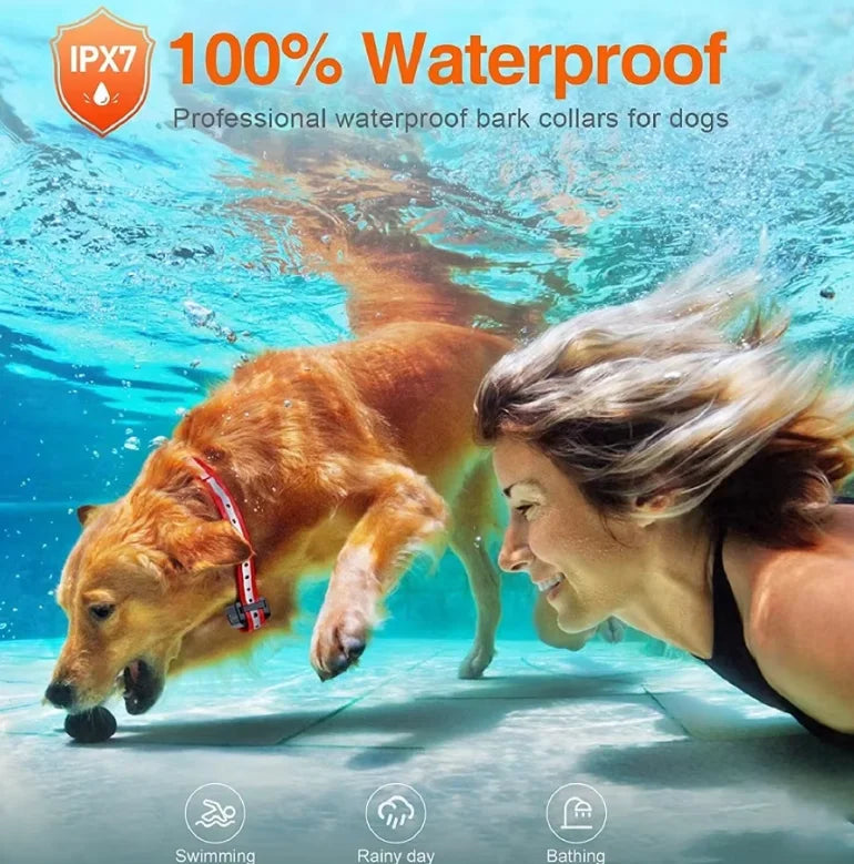 A woman is shown smiling while a dog wearing a waterproof bark collar swims in clear blue water.