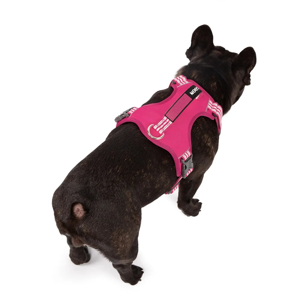 A black dog wearing a pink no-pull harness with a handle, viewed from the rear.