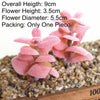 Artificial Succulent Bonsai Plant for Home Decor