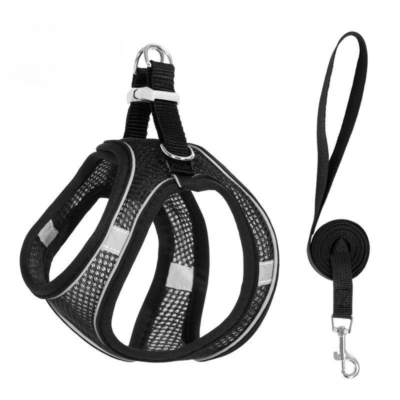 Black reflective no-pull dog harness with a leash shown against a white background.