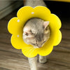 Collier de récupération en forme de fleur pour animaux, réglable