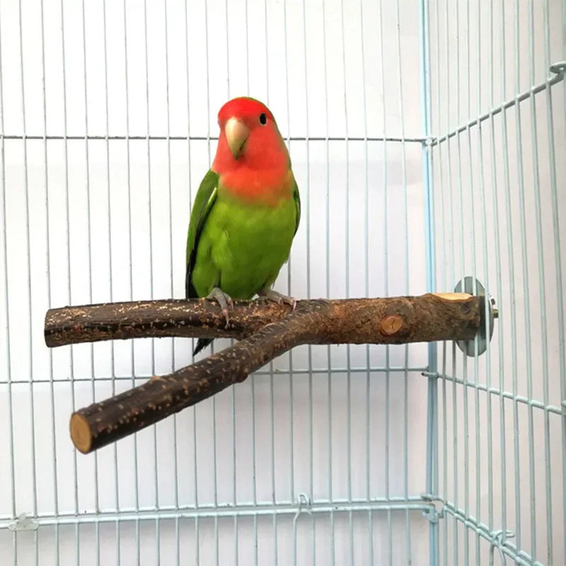 Un loro rojo brillante y verde posado en una rama de madera natural dentro de una jaula de alambre.