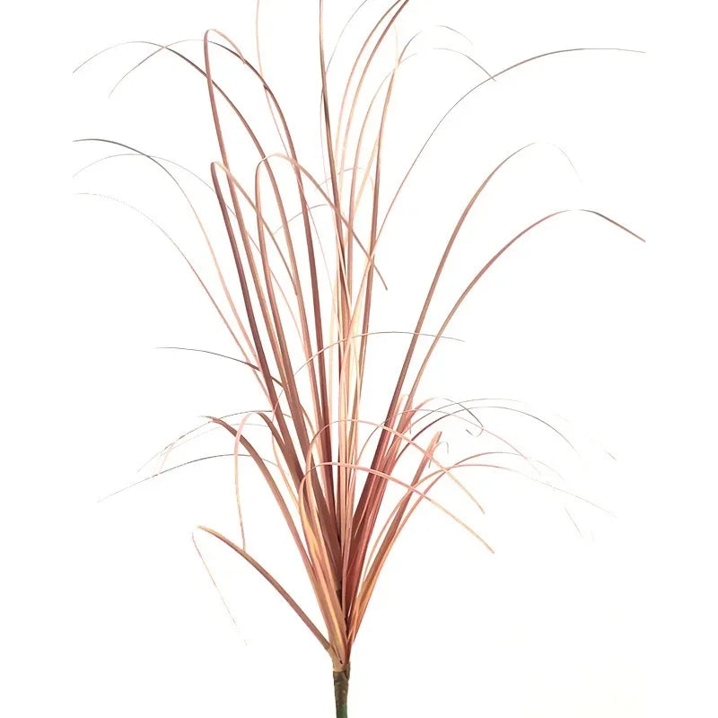Dried ornamental grass decoration with thin, reddish-brown blades.