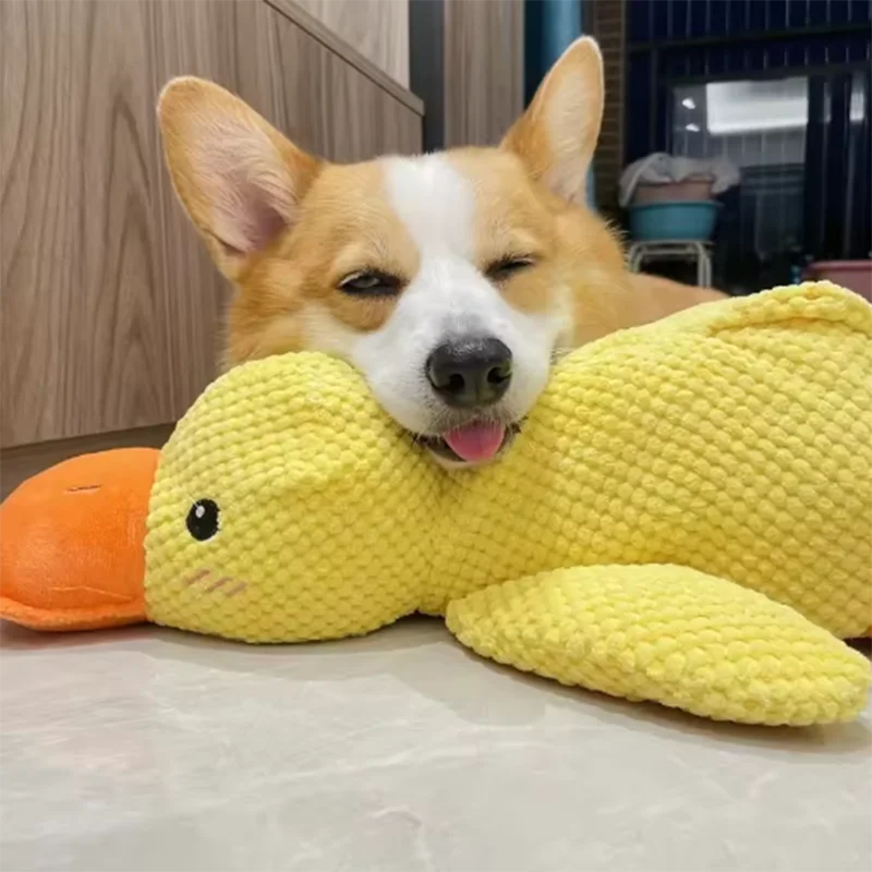 Plush Duck Comfort Toy for Dogs