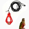 Red adjustable parrot harness and black elastic leash set with a parrot