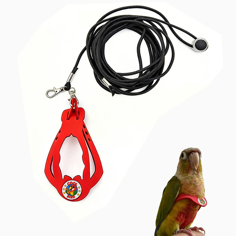 Red adjustable parrot harness and black elastic leash set with a parrot