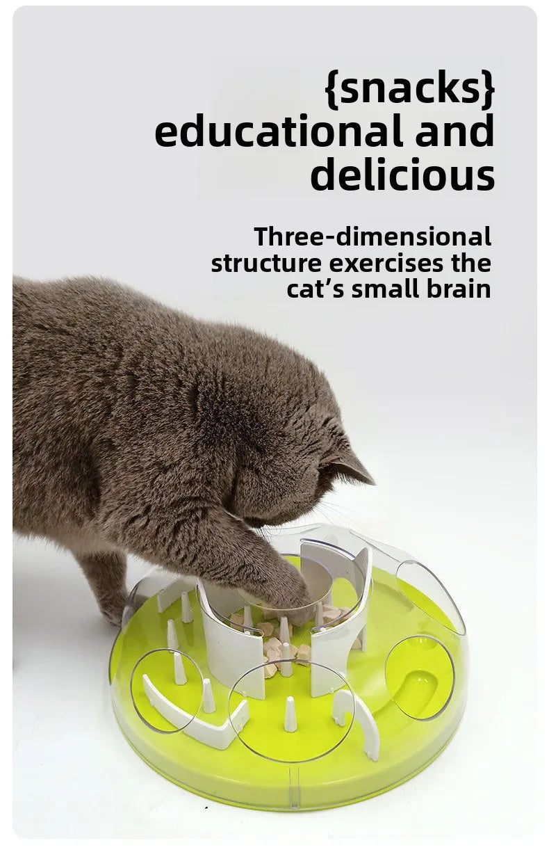 A gray kitten is interacting with a green puzzle feeder bowl designed for cats and small dogs.
