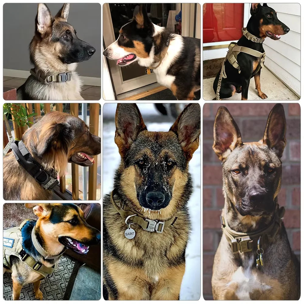 A collection of tactical dog training collars and leashes featuring various breeds and colors.