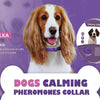 A brown and white dog wearing a purple calming pheromone collar, shown next to product information.