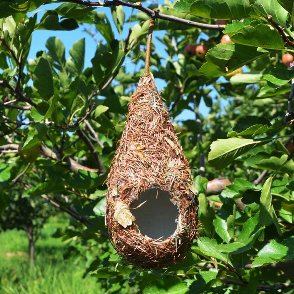 A hand-woven grass bird nest hanging from a tree branch amidst green leaves and blue sky.