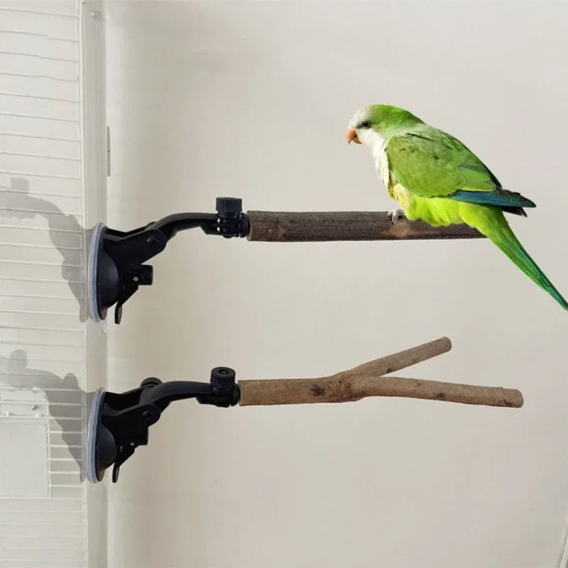 A small green parrot perches on a wooden bird perch mounted on a white wall.