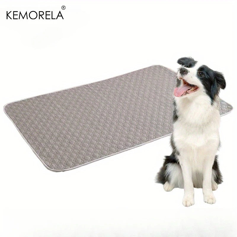 Reusable Pet Training Mat for Dogs