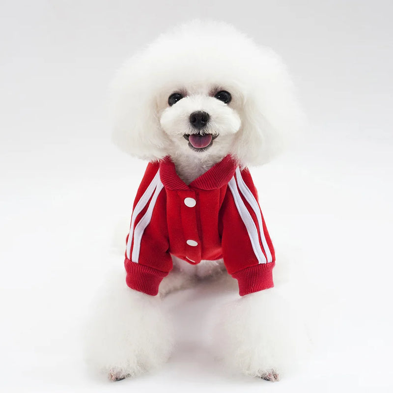 Sudadera Cómoda de 4 Patas para Mascotas