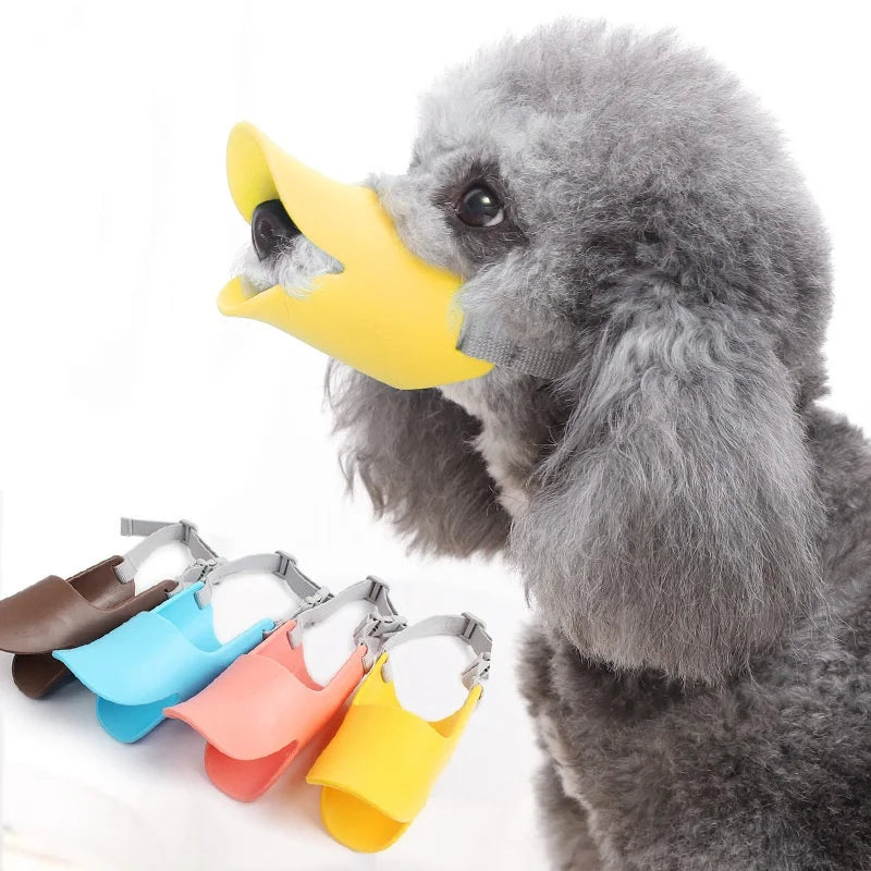 A gray poodle wearing a yellow silicone dog muzzle with an adjustable fit.