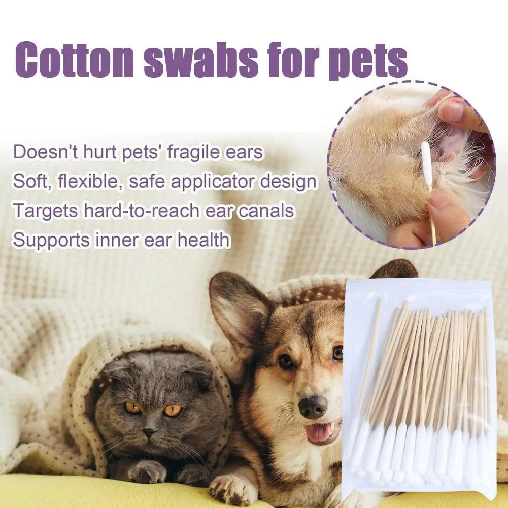 Cotton swabs for pets shown next to a cat and a dog, highlighting their use for ear cleaning.