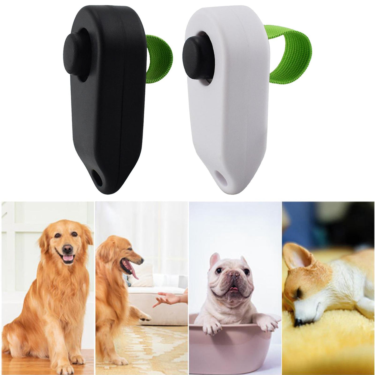 Un dispositif portable noir et blanc pour chiens, montré avec divers chiens.