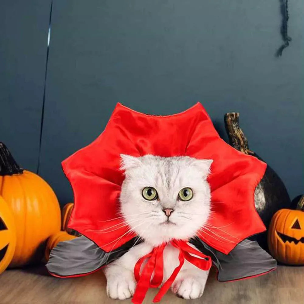 Vampire Cape Pet Costume for Cats and Small Dogs