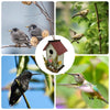 Handcrafted Wooden Hanging Birdhouse for Garden Decor