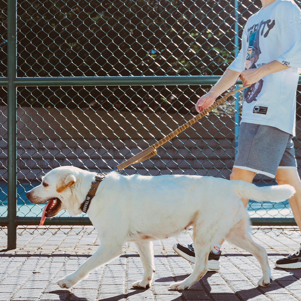 Tactical Dog Leash with Dual Handles and Shock-Absorbing Bungee