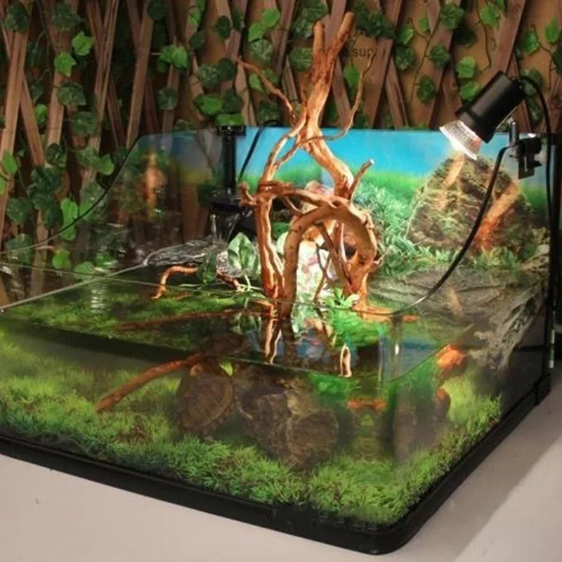 Glasaquarium mit Wurzelholz und moosbewachsenen Steinen, beleuchtet durch fokussiertes Licht.