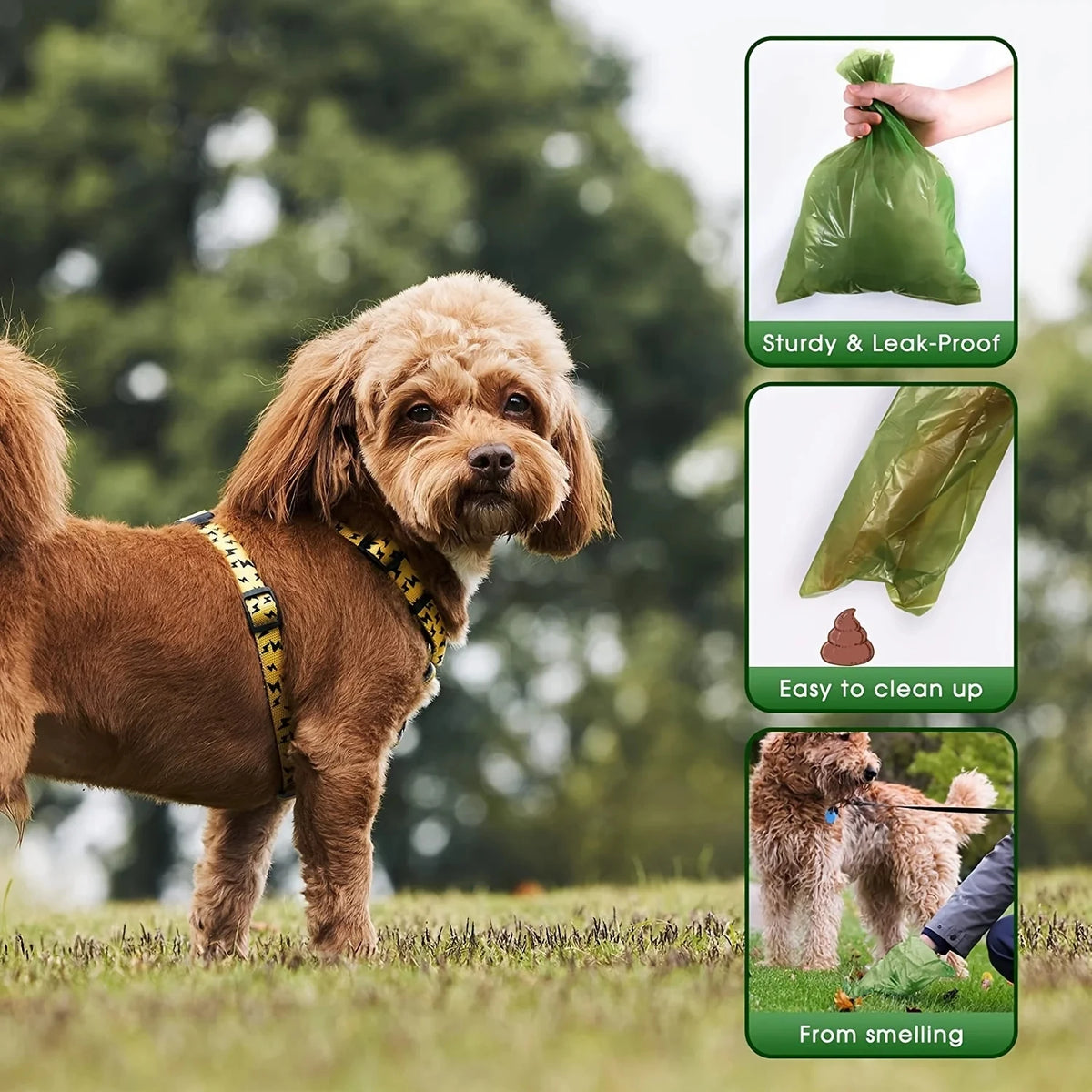 Biodegradable Dog Poop Bags with Leak-Proof Design