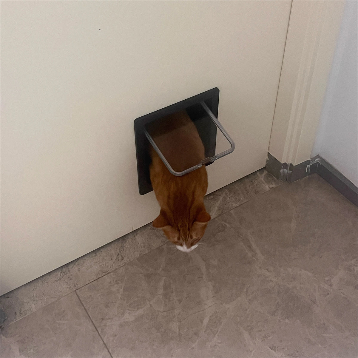 Weatherproof Pet Door Flap with 4-Way Locking Security