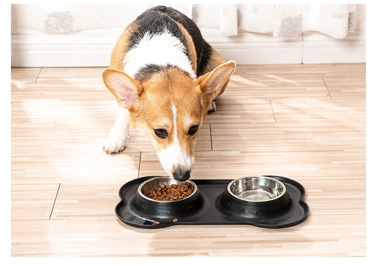 Bol double en acier inoxydable pour animaux avec base anti-débordement