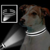 A dog wearing a reflective padded collar, shown alongside a close-up of the collar and a light beam.