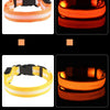 LED-Sicherheits-Hundeleine und Halsband-Set
