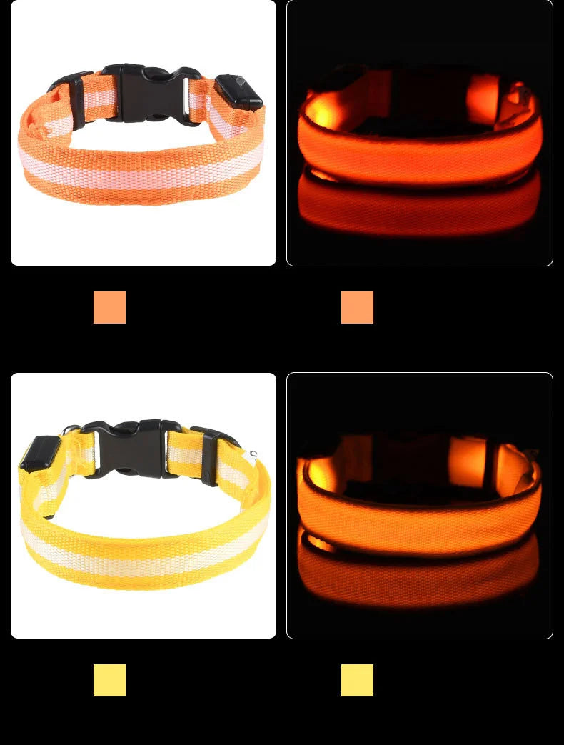 LED-Sicherheits-Hundeleine und Halsband-Set