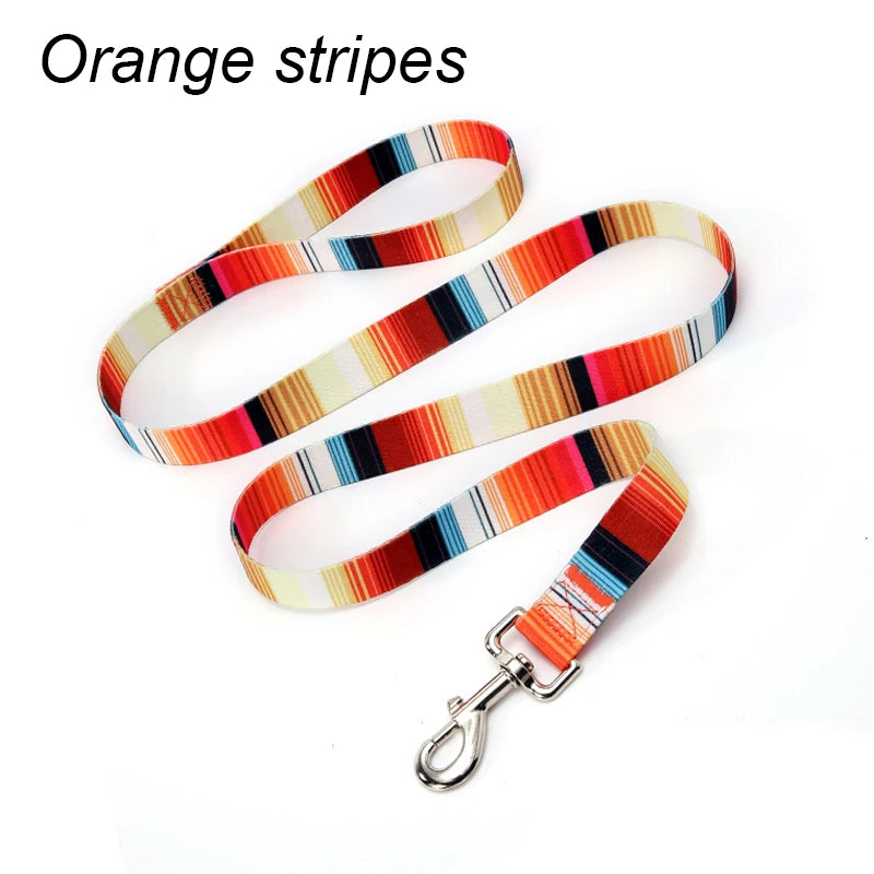 Orange striped fabric leash with a metal D-ring attached for a dog.