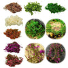 Lifelike Artificial Climbing Vine for Miniature Landscapes