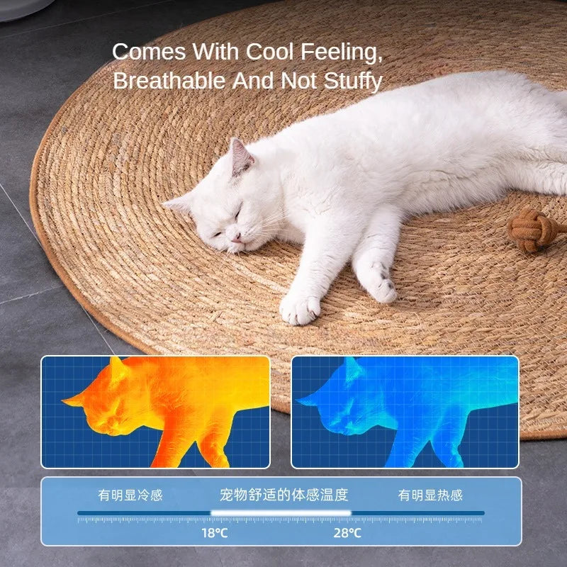 Natural Rattan Cat Scratching Mat