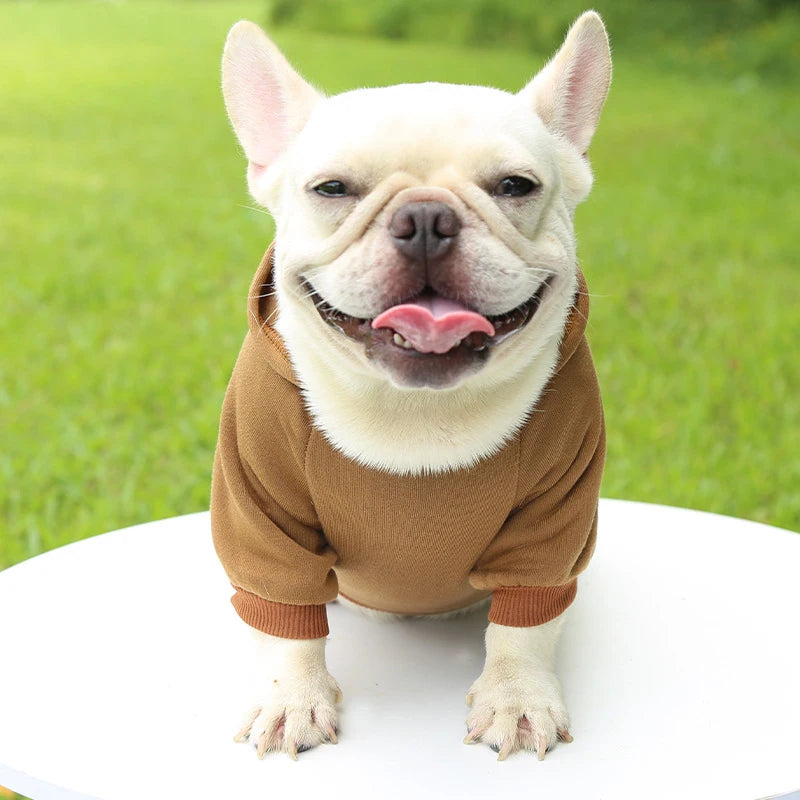 Suéter con Capucha Acogedor para Perros Pequeños