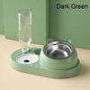 2-in-1 Pet Water Dispenser and Food Bowl