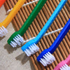 Long-Handle Double-Head Pet Toothbrush Set for Dogs and Cats